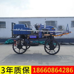 自走式三輪打藥機(jī) 高效農(nóng)用殺蟲(chóng)噴藥新選擇